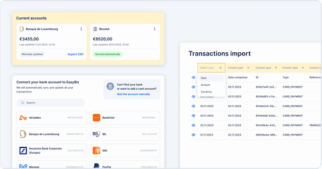 EasyBiz CSV transaction import