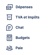 Dépenses, TVA et Impôts, Chat, Budgets, Paie