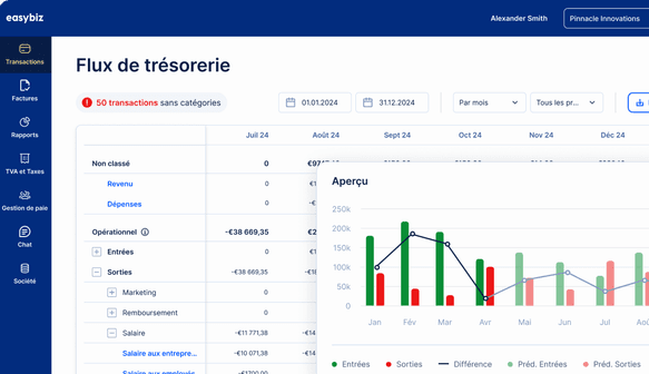 Rapport de flux de trésorerie EasyBiz avec le graphique d’aperçu
