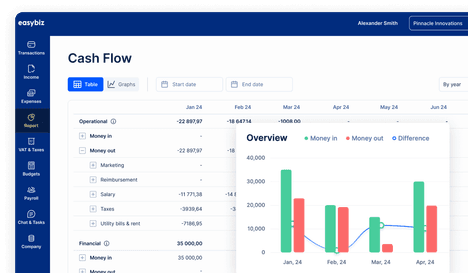 EasyBiz cash flow report with an income and expenses chart