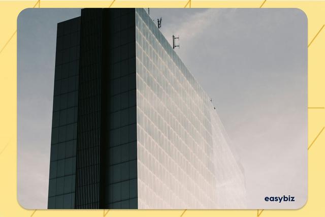 What is an LLC? Meaning, Luxembourg and international use